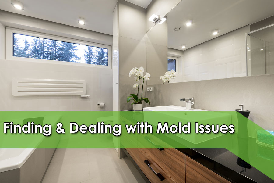 Finding & Dealing with Mold Issues